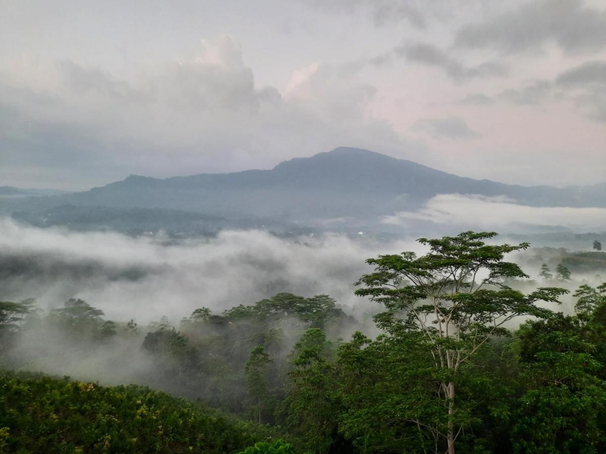 Terrace Cinnamon View Ratnapura Zewnętrze zdjęcie