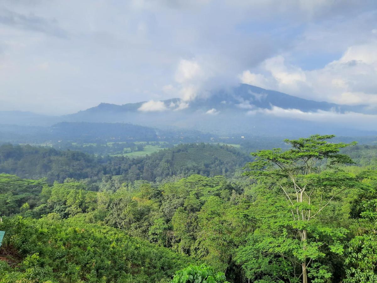 Terrace Cinnamon View Ratnapura Zewnętrze zdjęcie